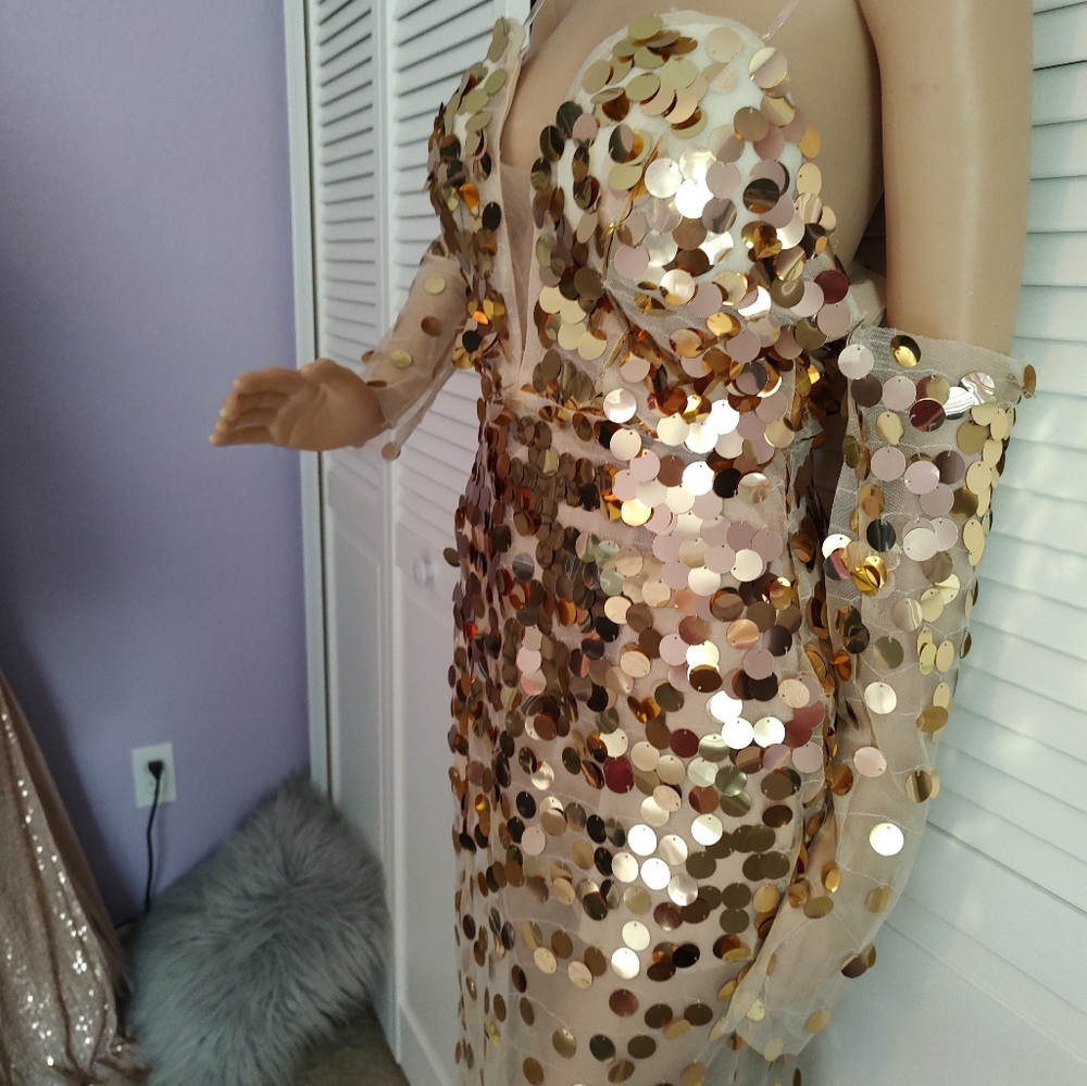 Sexy sheer metallic gown - Picture 6 of 16